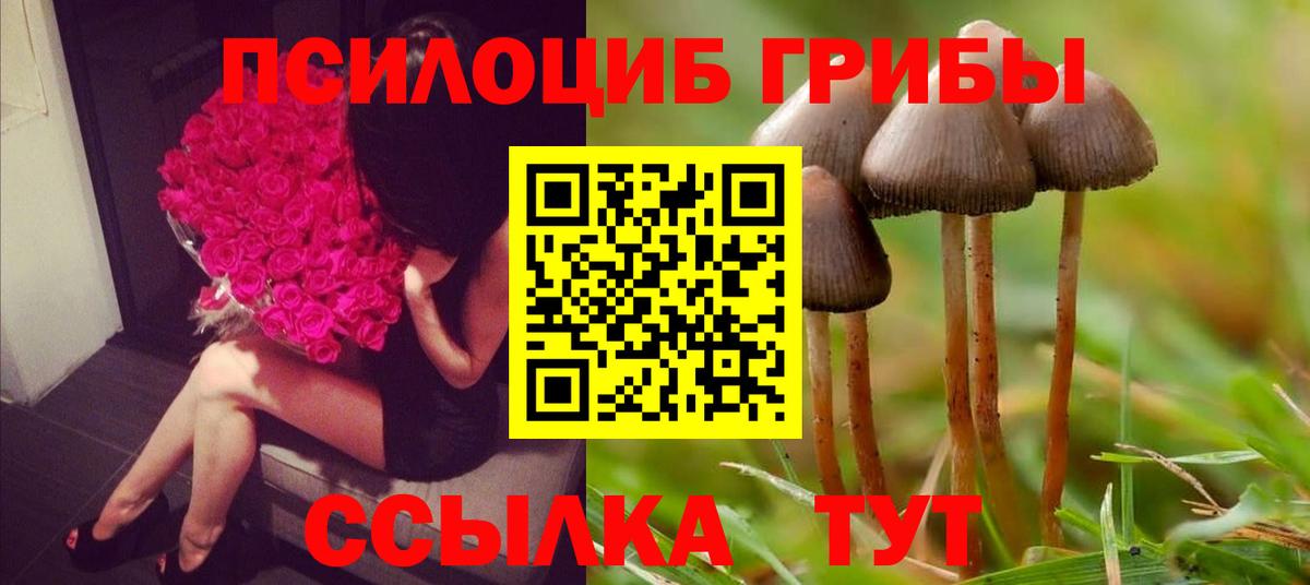 Галлюциногенные грибы Magic Shrooms Владикавказ